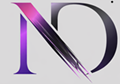 NetSuite Developers Logo